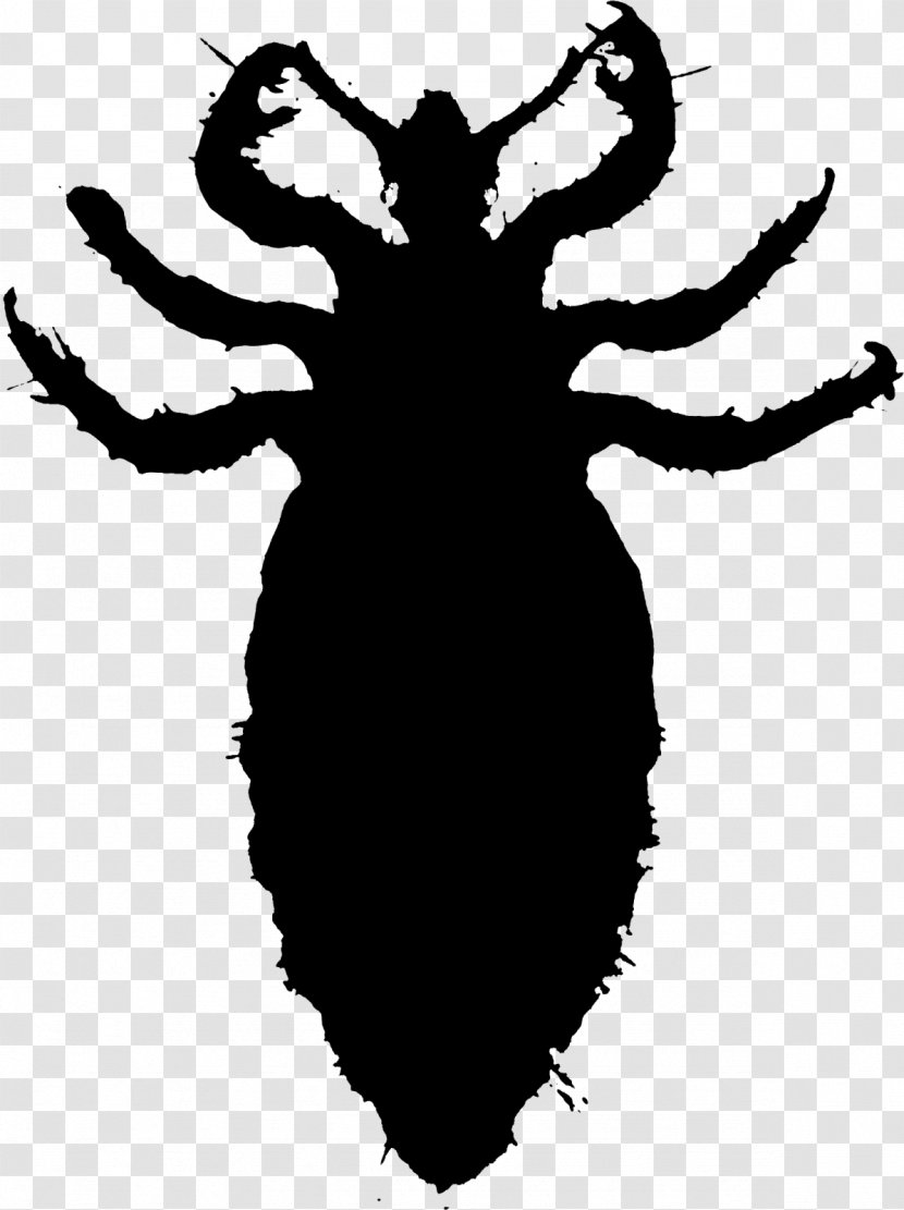 Vector Graphics Clip Art Illustration Louse Insect - Cartoon - Arthropod Transparent PNG