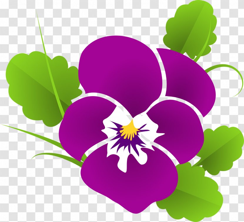 Pansy Flower Garden Gardening Made Easy Stock.xchng Transparent PNG