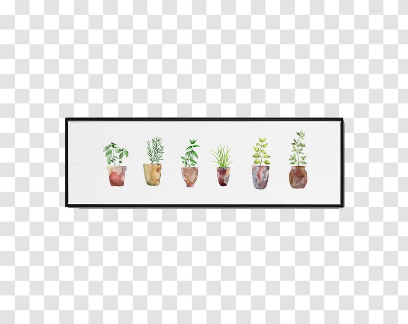 Drawing Plant - Decorative Plants Transparent PNG