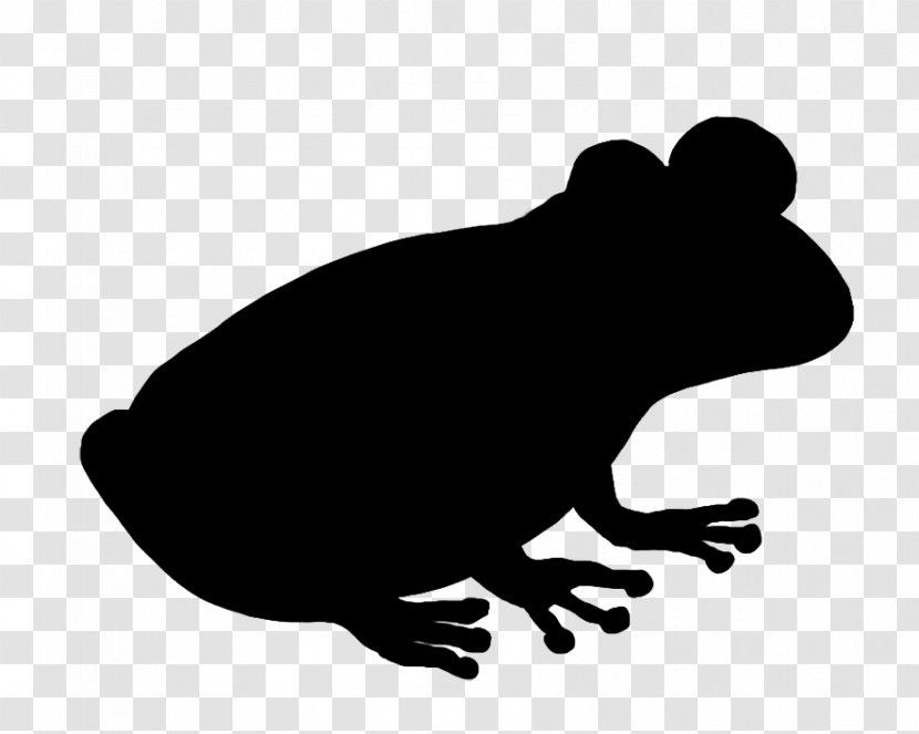 Clip Art Carnivores Fauna Silhouette Snout - True Frog Transparent PNG