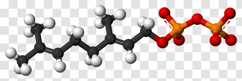 Geraniol Monoterpene Molecule Editor Rose Oil - Ballandstick Model - Citronellol Transparent PNG