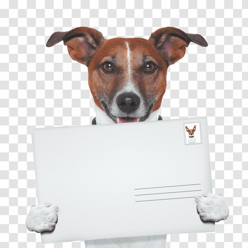 Dog Walking Pet Sitting Puppy - Envelope Mail Transparent PNG