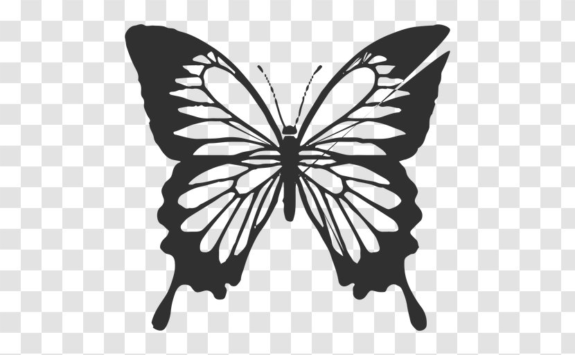 Butterfly Vector Graphics Royalty-free Illustration Stock Photography - Ulysses Cartoon Transparent PNG