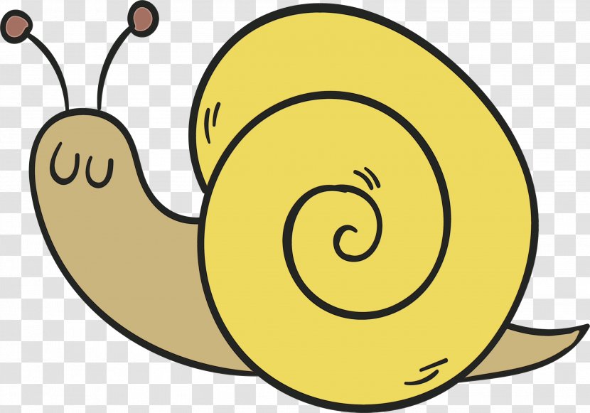 Snail Cartoon - Computer Graphics - Sea Snails And Slugs Transparent PNG