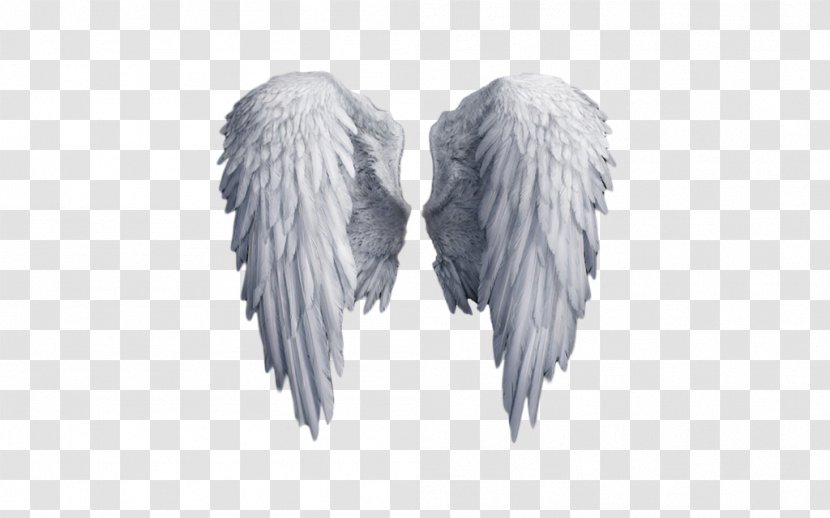 Clip Art - Angel - Wings Transparent PNG