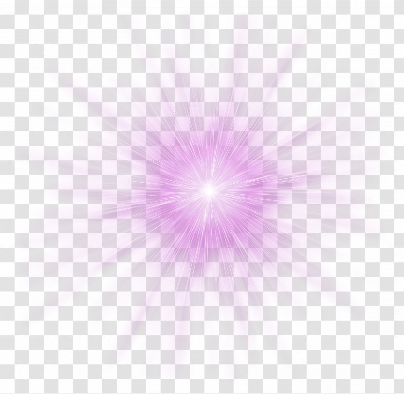 Fireworks Purple Icon - Petal - Transparent Transparent PNG