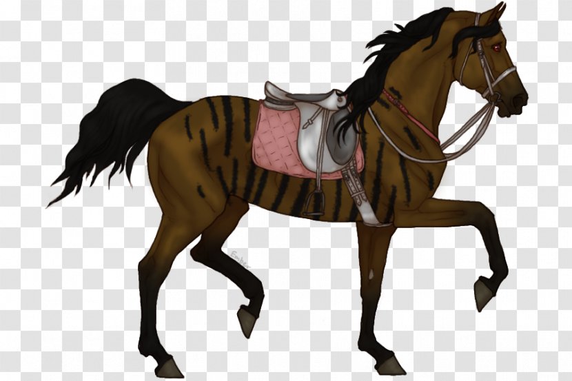 Appaloosa Mane Pony Mustang Morgan Horse - Dun Locus Transparent PNG