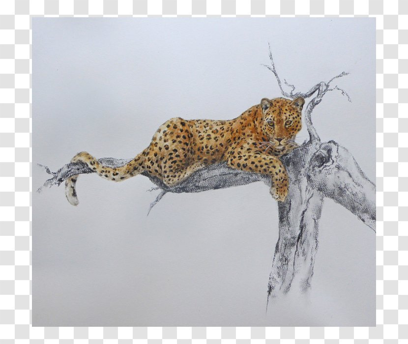 Leopard Cheetah Cat Fauna Terrestrial Animal - Siesta Transparent PNG