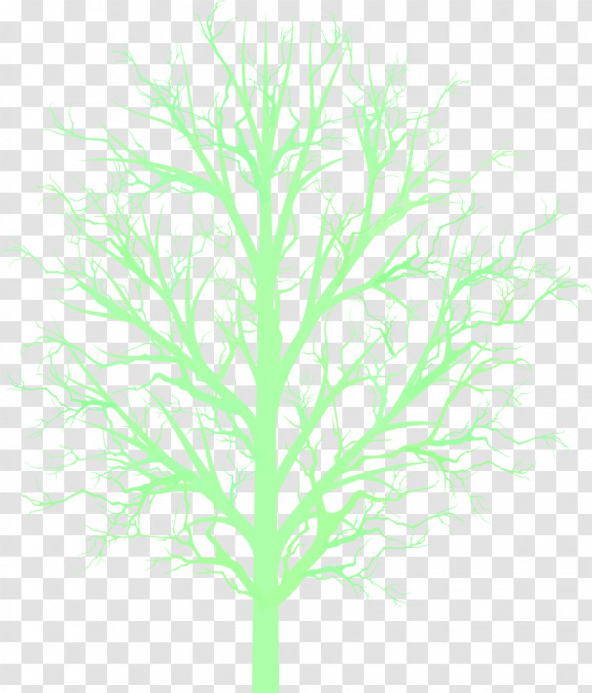 Clip Art Vector Graphics Image Stock.xchng - Plant - Famly Reunion Tree Transparent PNG
