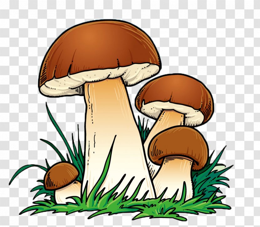 Mushroom Cartoon - Shiitake - Mushroom,lovely,Cartoon,color Transparent PNG