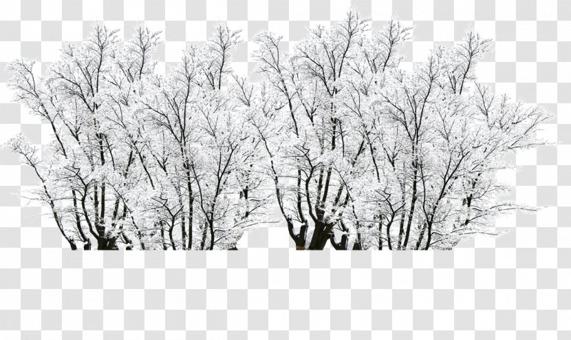 Creativity Winter - Aestheticism - Creative Design Aesthetic In The Snow Transparent PNG