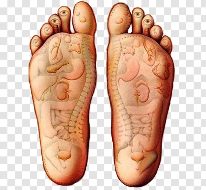 Reflexology Massage Foot Alternative Health Services Acupuncture - Flower Transparent PNG