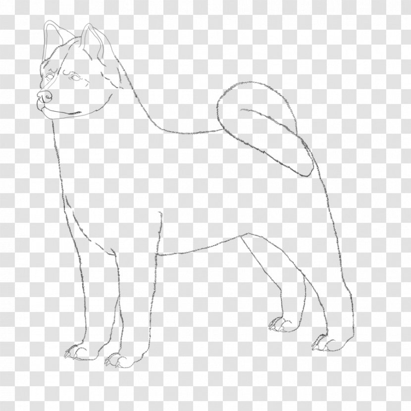 Dog Breed Whiskers Cat Akita Japanese Spitz - Puppy Transparent PNG