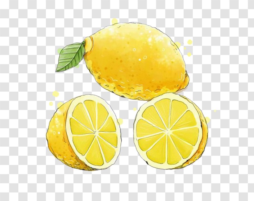 Lemon Juice Fruit Yellow - Rangpur - Hand-painted Transparent PNG