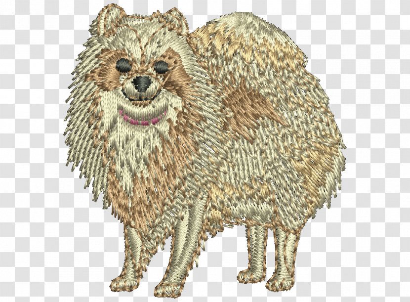 Dog Breed Pomeranian Raccoon Whiskers Snout Transparent PNG