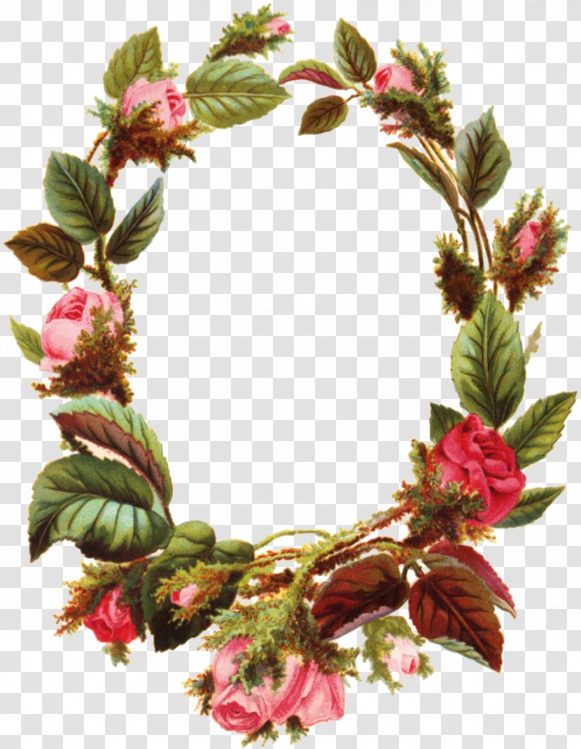 Flower Picture Frames Rose Clip Art - Wreath Transparent PNG