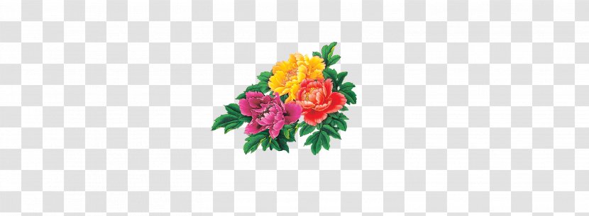 Floral Design Cut Flowers Petal Wallpaper - Rectangle - Peony Transparent PNG