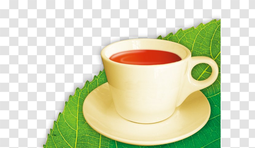 Green Tea Longjing - Cup - Leaf Products In Kind Transparent PNG