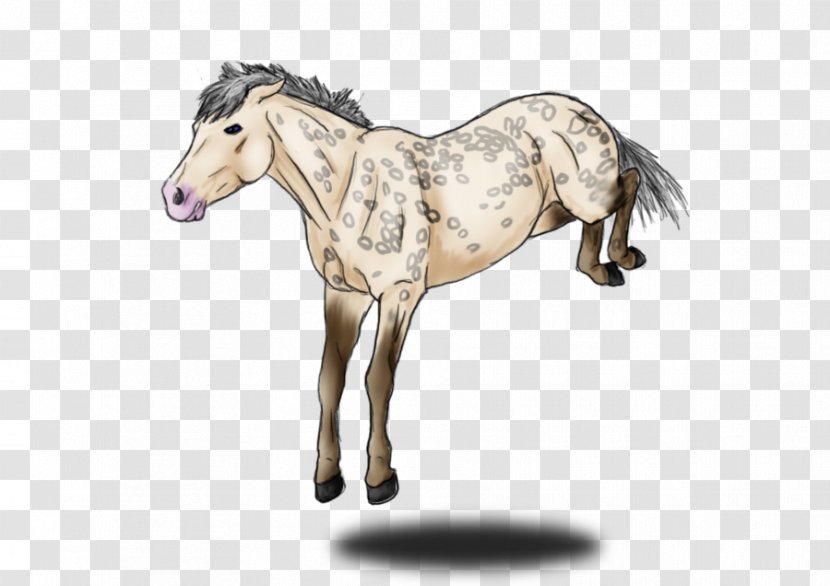 Mustang Foal Mare Stallion Colt - Mammal Transparent PNG