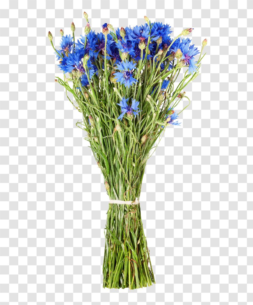 Floral Design Cornflower Flower Bouquet - The Bouquets Are Free Of Charge Transparent PNG