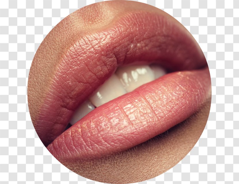 Lip Balm Permanent Makeup Lipstick Liner - Cartoon Transparent PNG