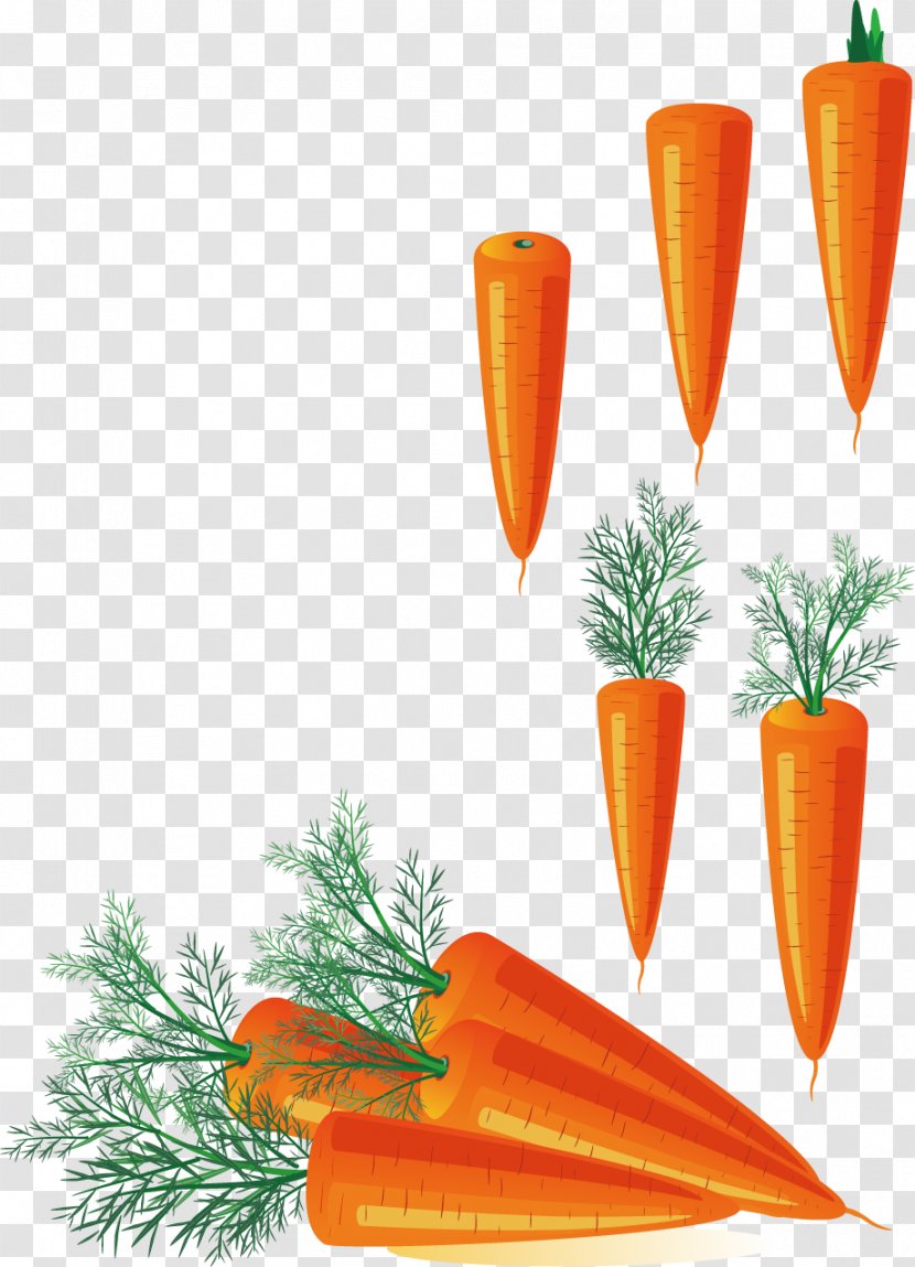 Carrot Stock Photography Clip Art - Food - Vector Creative Design Diagram Vegetables Yellow Carrots Transparent PNG