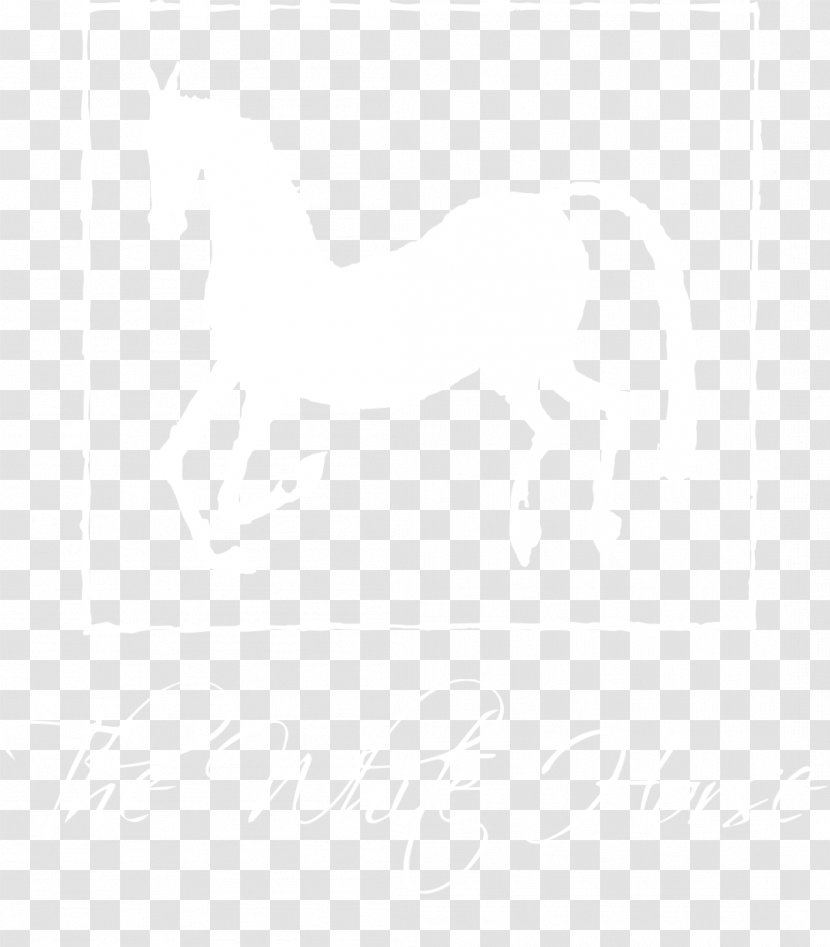 Uber New York City Logo Lyft Real-time Ridesharing - Whitehorse Transparent PNG