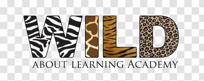 WILD About Learning Academy Scott Family Amazeum Summer Camp Fayetteville-Springdale-Rogers, AR-MO Metropolitan Statistical Area Teacher - Child Transparent PNG