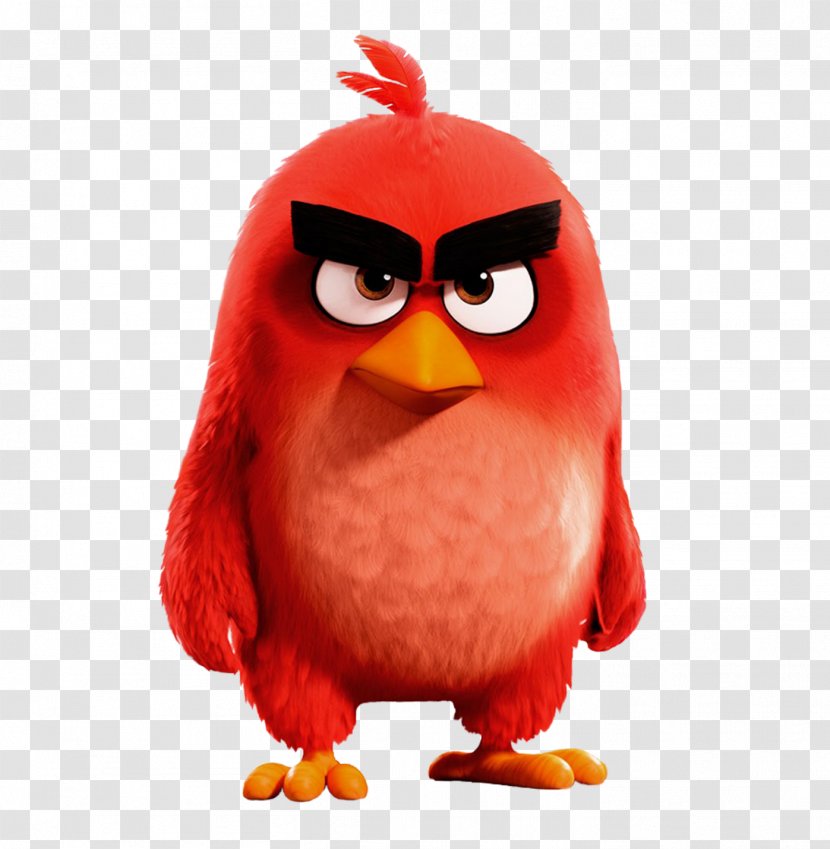Angry Birds YouTube Drawing Desktop Wallpaper - Beak - Bird Transparent PNG