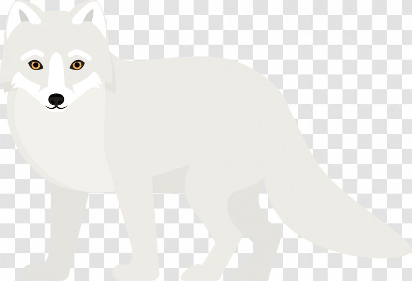 Arctic Fox Dog Breed Bear Whiskers - Vector Wolf Transparent PNG