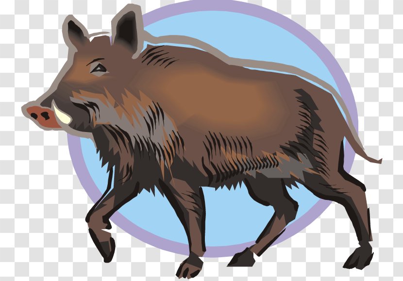 Wild Boar Common Warthog Clip Art - Tusk - Pig Transparent PNG