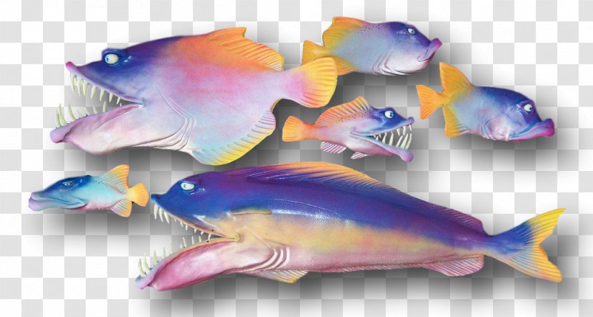 Marine Biology Mammal Fauna Pink M - Fish Body Transparent PNG
