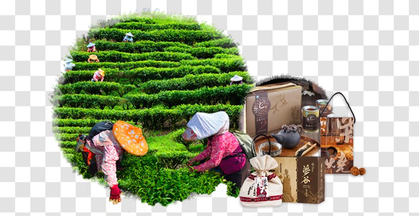 Christmas Tree Ornament Product Day - Grass - Taiwan Travel Transparent PNG