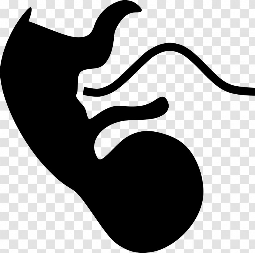 Embryo Royalty-free Fetus - Uterus - Apes Vector Transparent PNG
