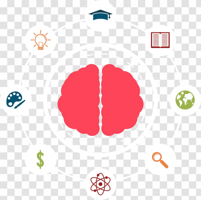 Infographic Information Chart - Software - Brain Transparent PNG