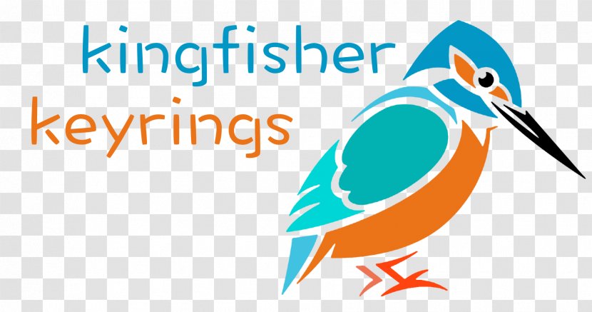 Bird Kingfisher Clip Art - Area Transparent PNG