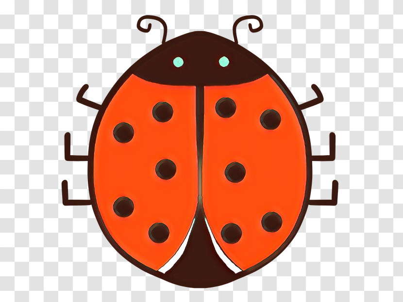 Insect Beetle Transparent PNG