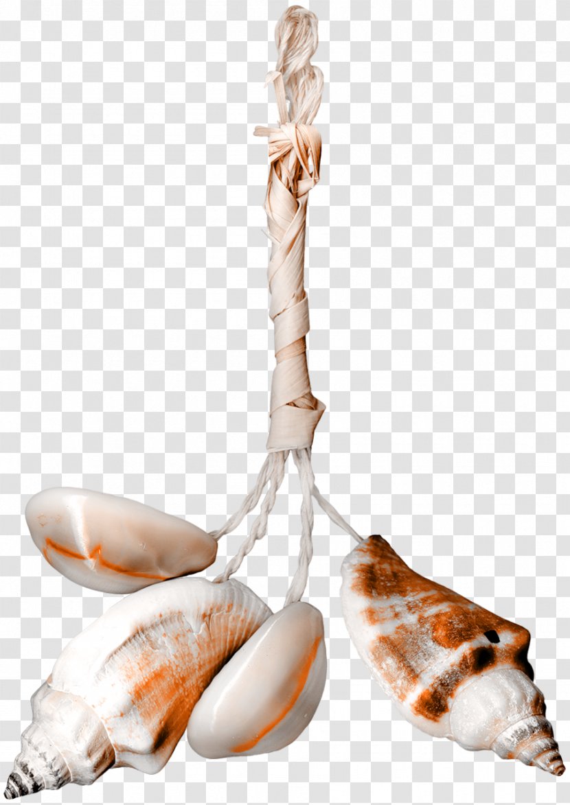Seashell - Pearl - Cutlery Transparent PNG