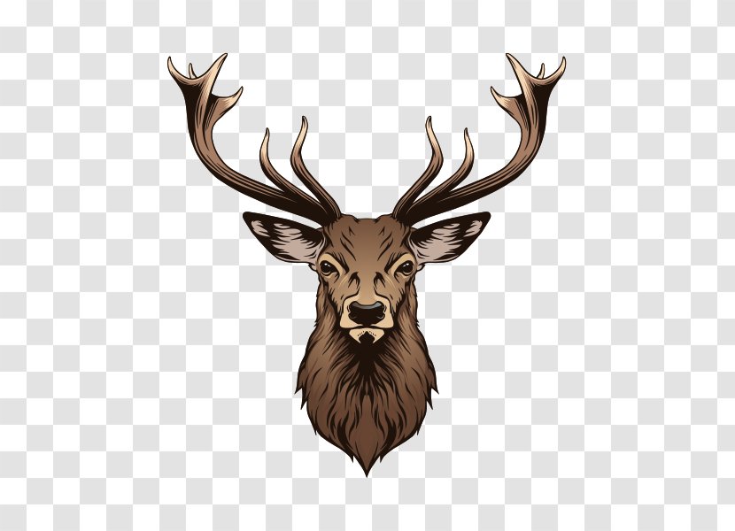 Deer Vector Graphics Illustration Stock Photography Royalty-free - Wildlife - Painting Transparent PNG