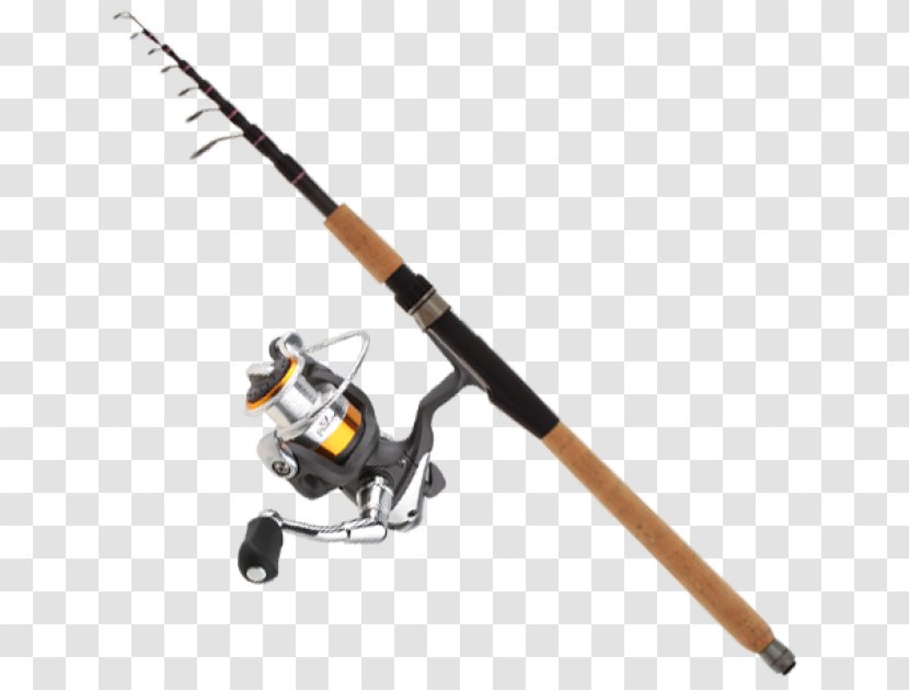 Fishing Rods Gift Birthday Spin Angling - Sports Equipment Transparent PNG