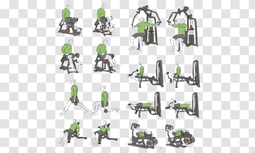 Bodybuilding Stock Photography Physical Exercise Illustration - Royaltyfree - Vector Fitness Transparent PNG
