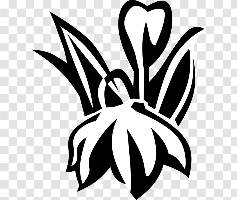 Flower Line Art - Logo - Symbol Emblem Transparent PNG