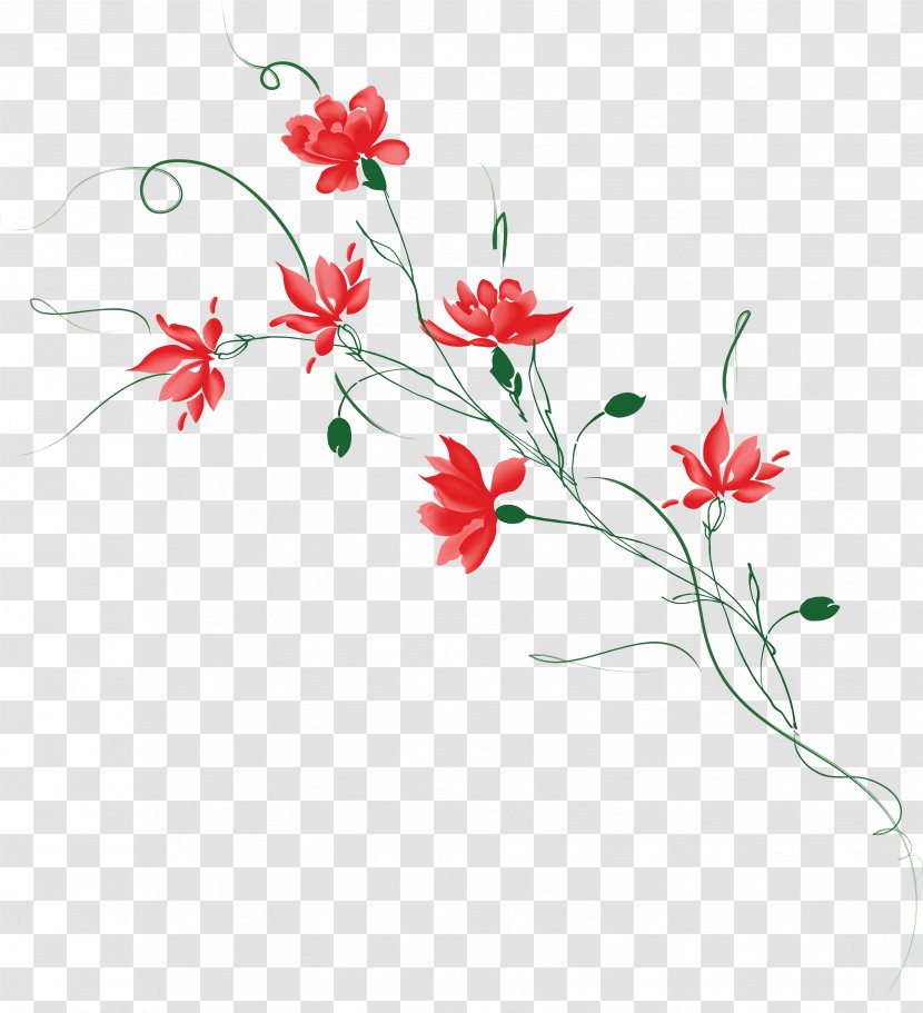 Photography Flower - Flora - Wall Painting Transparent PNG