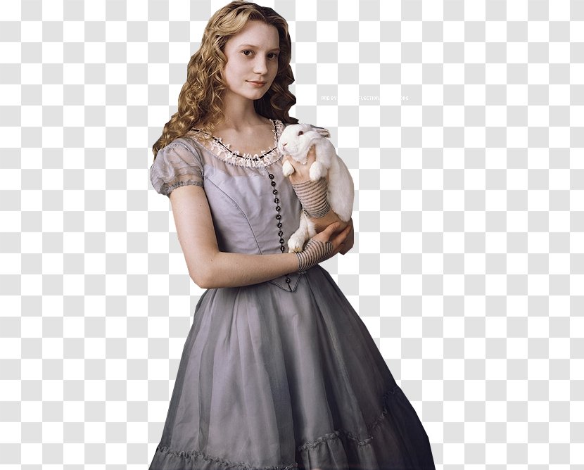 Mia Wasikowska Alice In Wonderland Alice's Adventures White Rabbit - Silhouette Transparent PNG