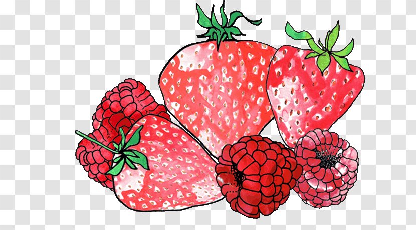 Strawberry Vegetable Superfood Natural Foods - Fruits Sketch Transparent PNG
