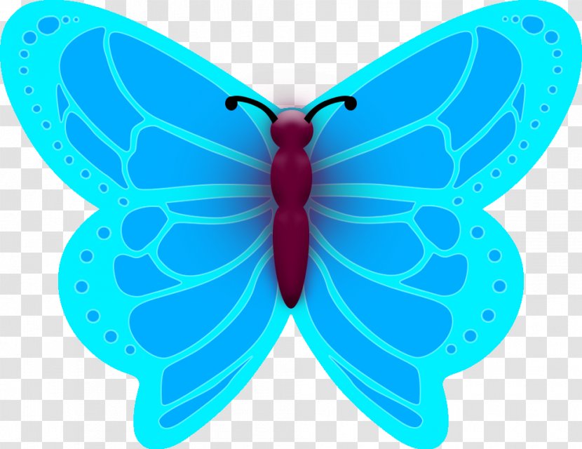 Moth Turquoise Symmetry Microsoft Azure - Set Multi Color Transparent PNG