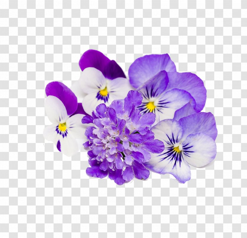Flower Stock Photography - Purple - Floral Elements Transparent PNG