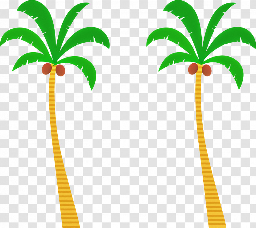 Palm Trees Transparent PNG