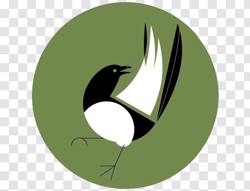 Eurasian Magpie - Design Transparent PNG