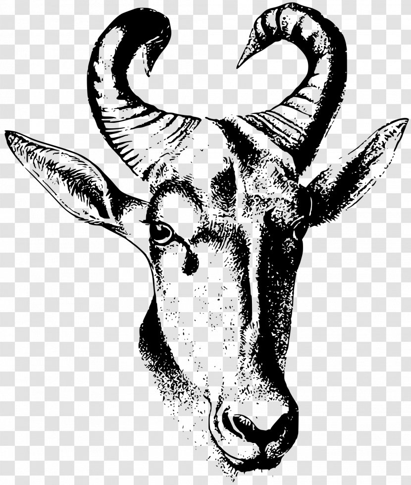 Cattle Antelope Bovinae Drawing Clip Art - Black - Horse Transparent PNG
